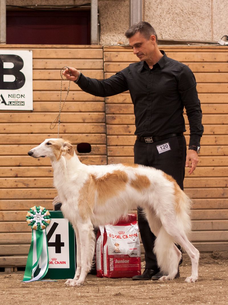 BIS-4 Borscana Sukhoi Flanker
