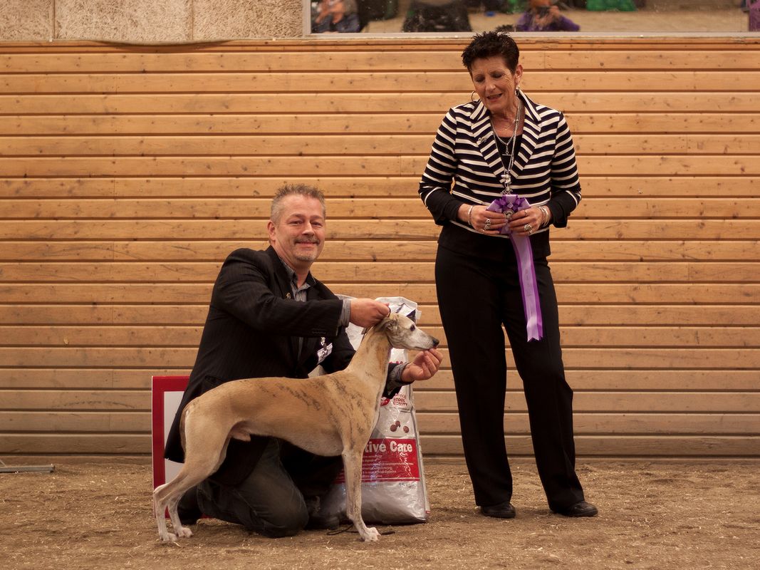 BIS VETERAN Twyborn Big Ben