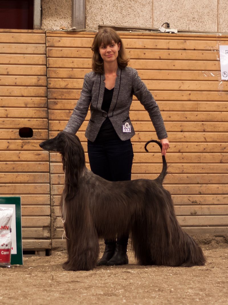 BIS-4 VETERAN Khaos Gillianne