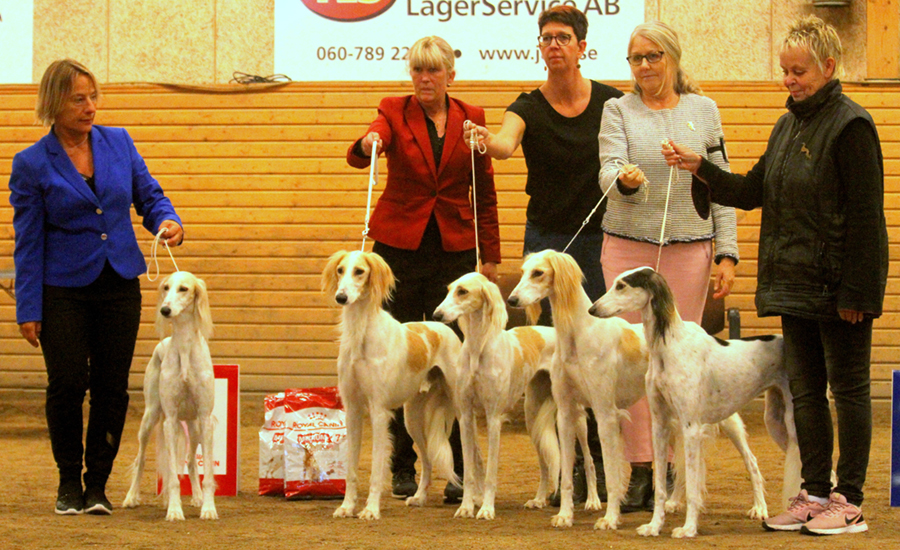 BIS AVELSGRUPP Sadaqa Moonirah Lulu