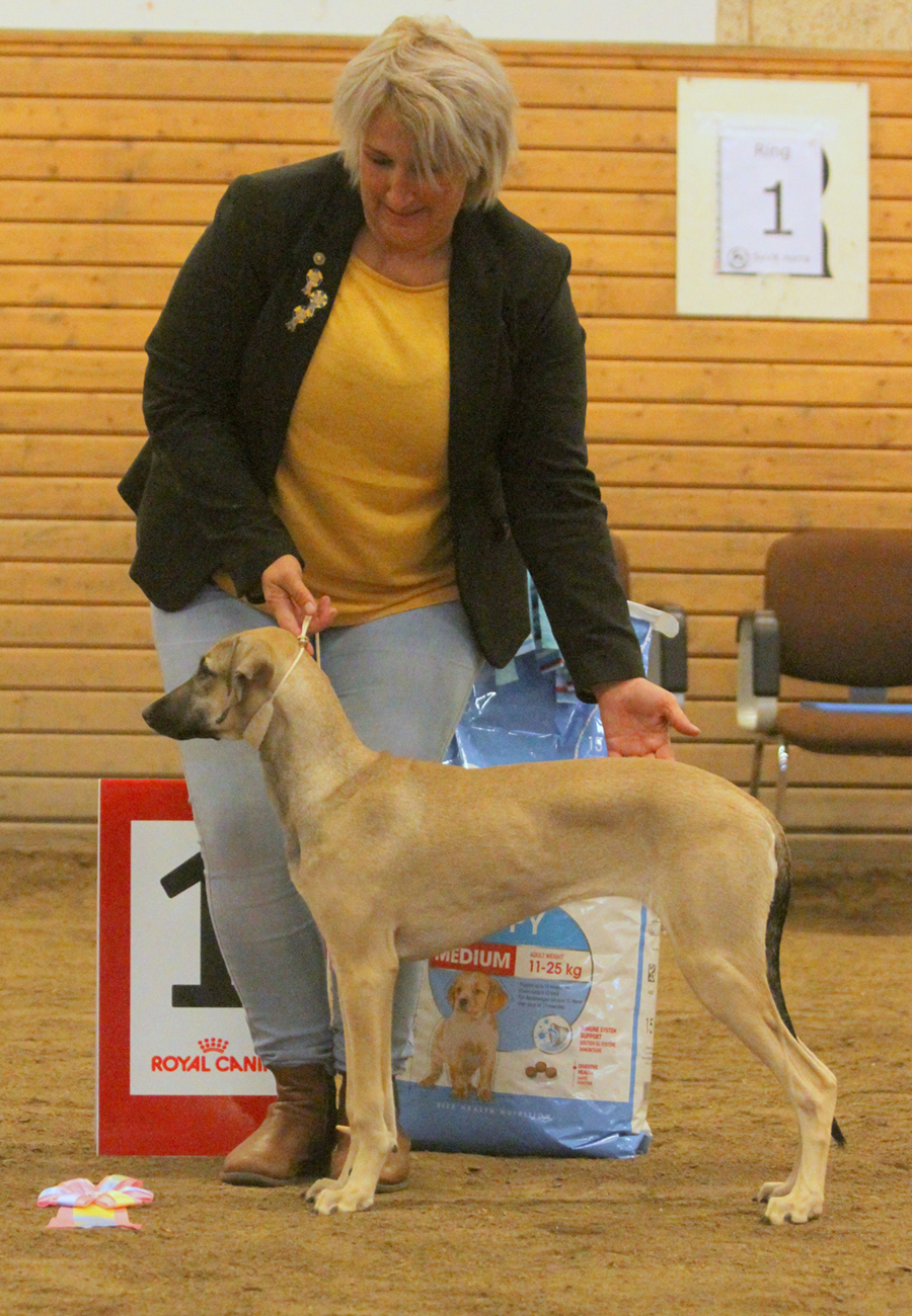 BIS BABY Del Khazaris Ktidi