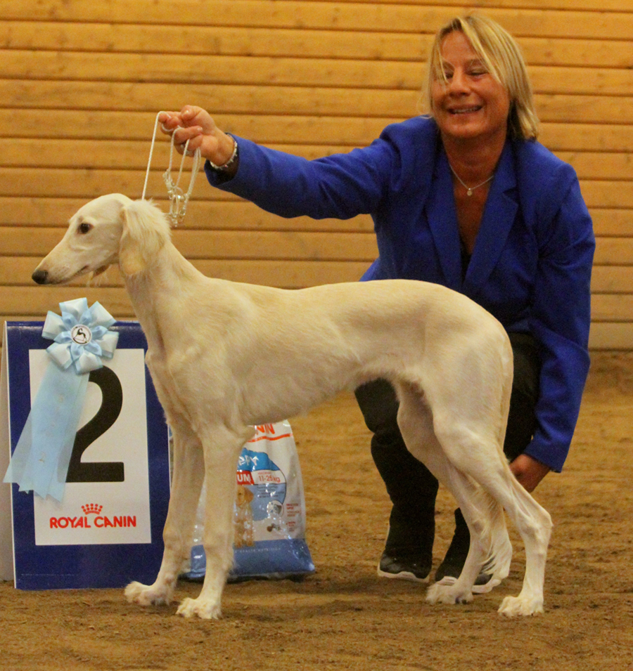 BIS-2 BABY Mala's Amal Elmira Sadaqa