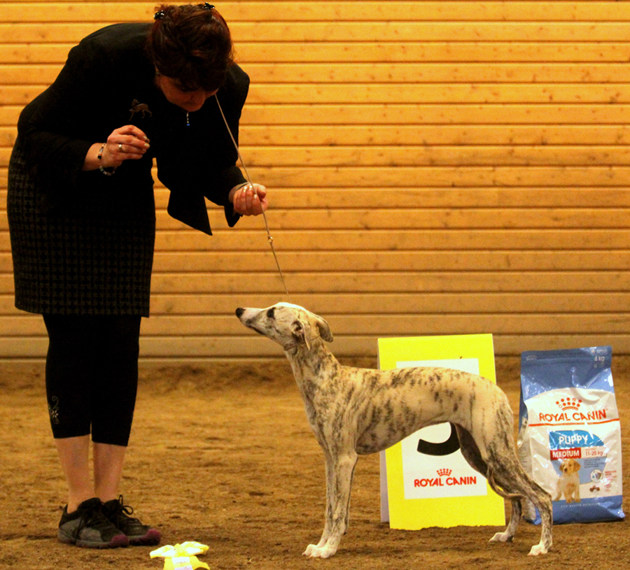 BIS-3 BABY Carry On Duchesse de Nemours