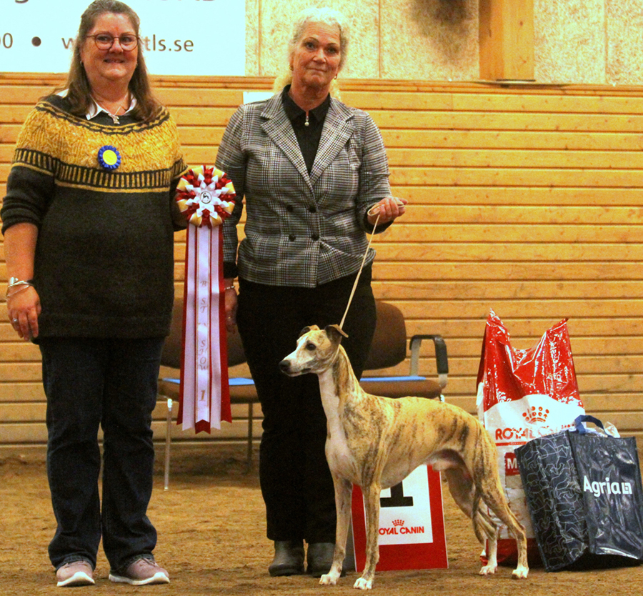 BEST IN SHOW Allettes Irish Mist Drambuie