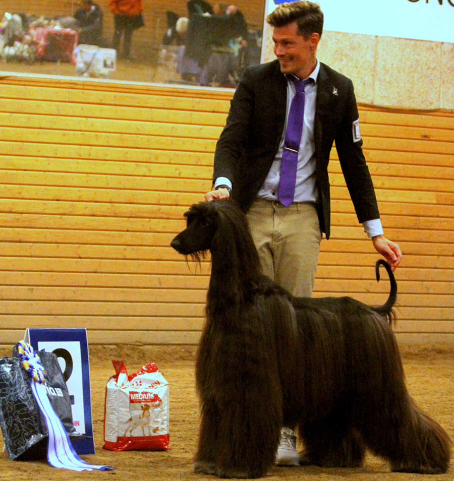 BIS-2 Unstoppable Secret Zcoop