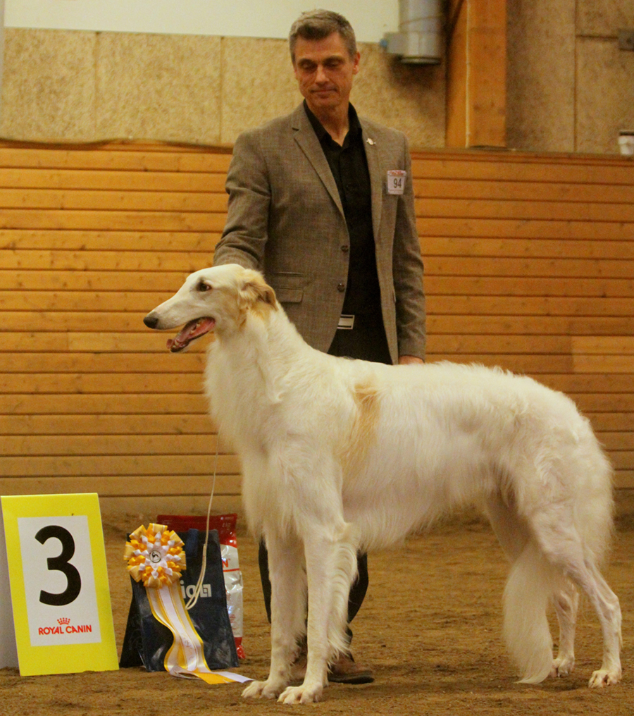 BIS-3 Borscana Sunshine Skyway