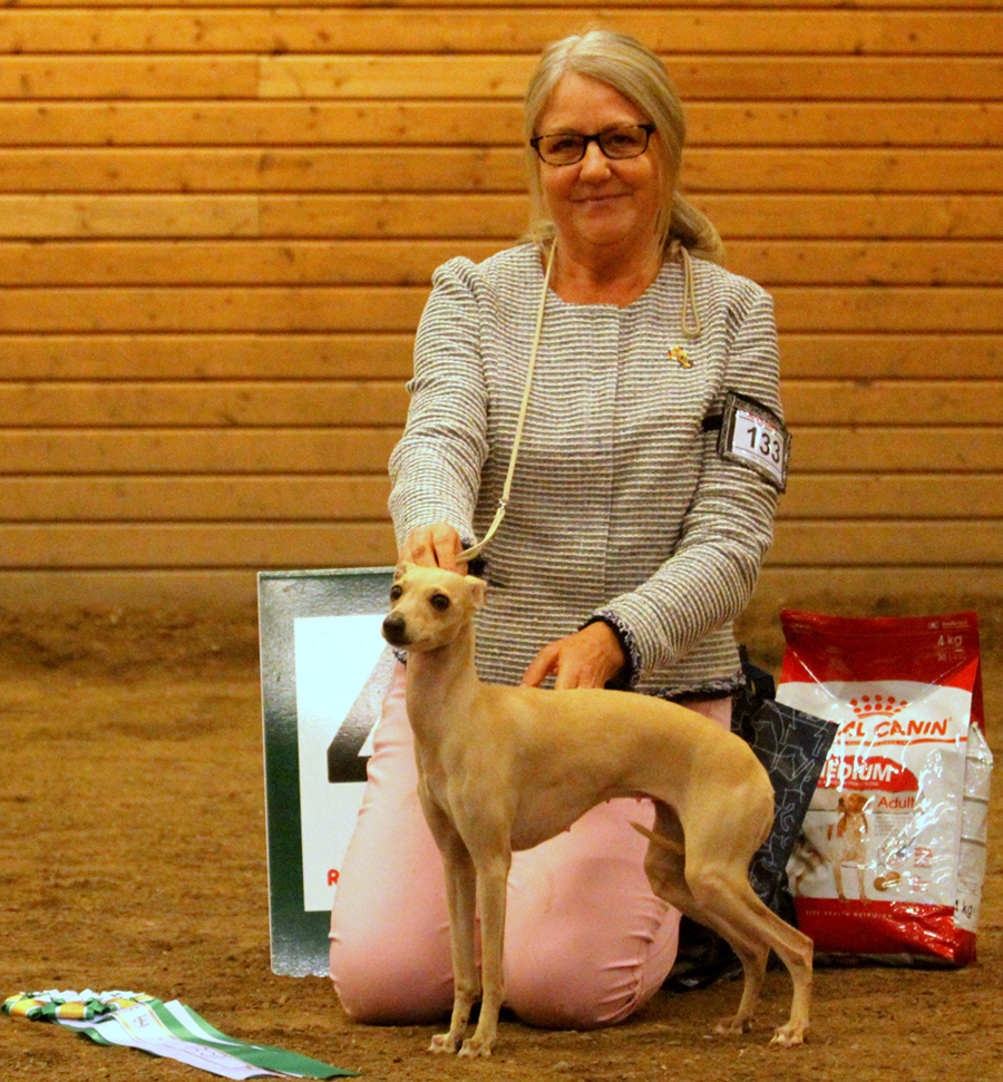 BIS-4 Yebelli's Rubie