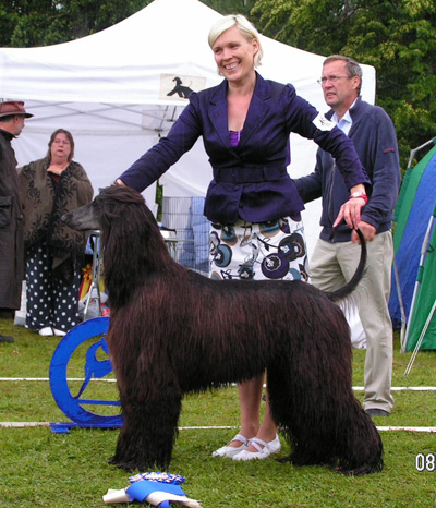 BIS-2 Xenos Carrodano