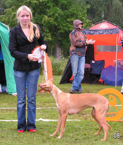 BIS-R Enigma Neon Sky