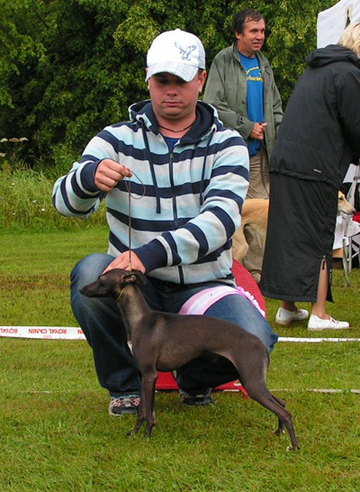 BIS JUNIOR Skogsvilles Sweet Home Alabama