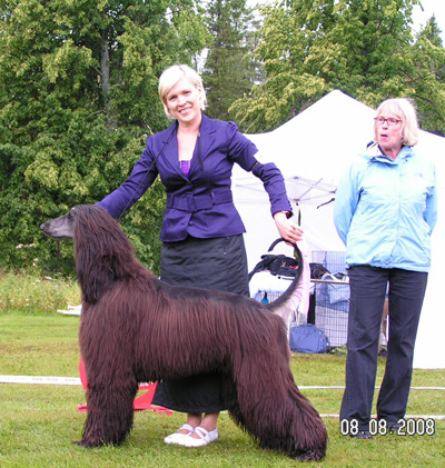 BIS UNGHUND Xenos Carrodano