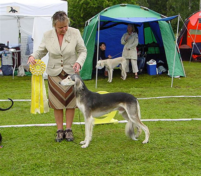 BIS-3 Ch. El-Ubaids Genesis