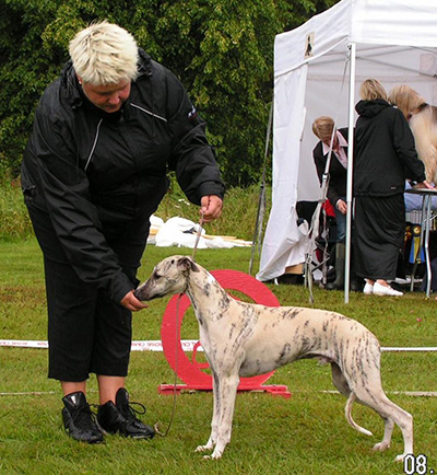 BIS BABYVALP Tappinskis French Fashion