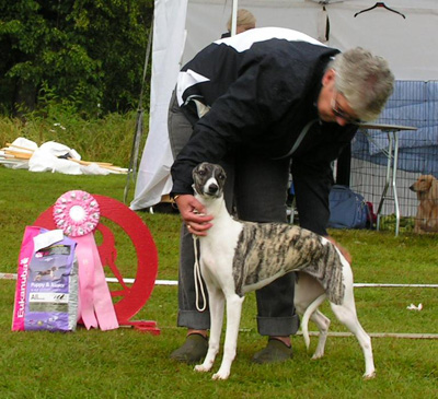 BIS VALP Allettes T&T Sedona