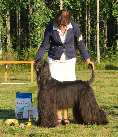 Ägare Lena & Gunnar Johansson, Luleå