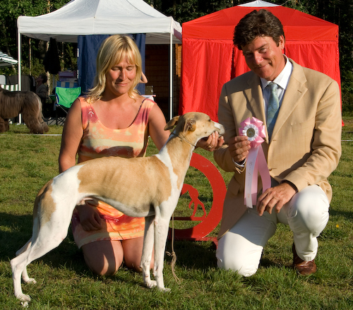 Ägare Densie Johansson, Vännäs