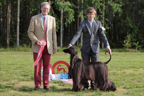 BEST IN SHOW Gold’n Copper She’s A Rainbow