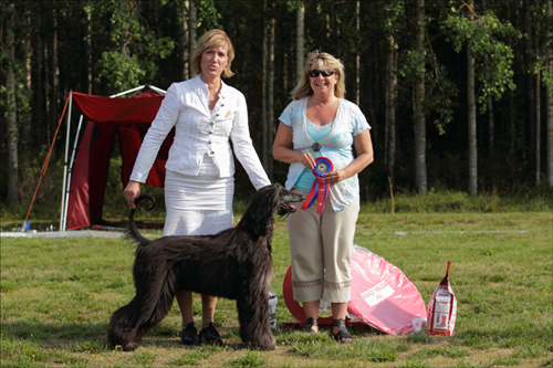 BIS JUNIOR Karagez Deja Vu For Gold'n Copper
