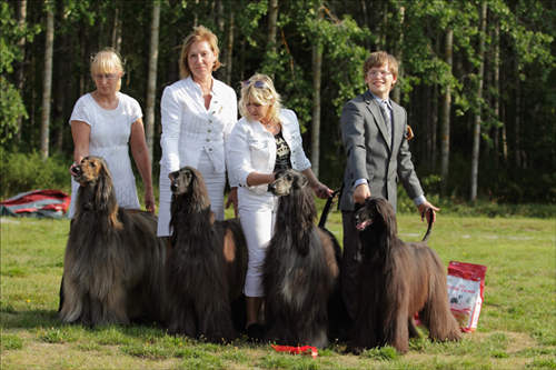 Lena och Gunnar Johansson, Luleå