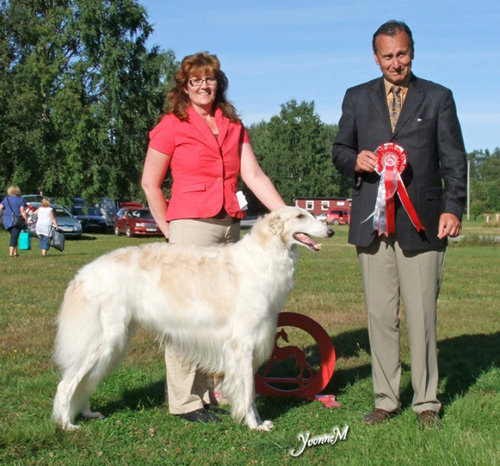 BEST IN SHOW Krilat Charadei