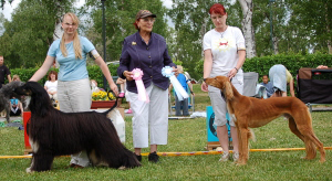 Ägare Pauliina Stöckel, Finland