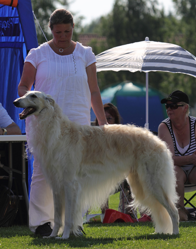 Ägare Hamel Lena, Sollentuna
