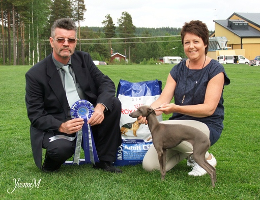 BIS-2 Yebellis Jasmine