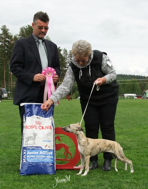 BIS BABYVALP Allettes Herb Our Ladys Bedstraw