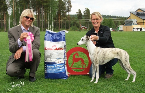 BIS-2 UNGHUND Sadaqa Laziza Bint Kifaya