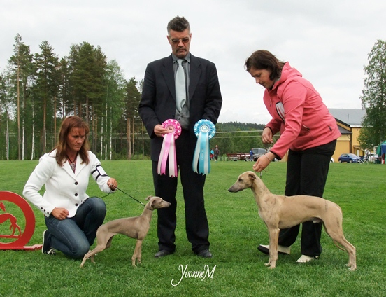 BIS-2 VALP Tappinskis New Boy In Town