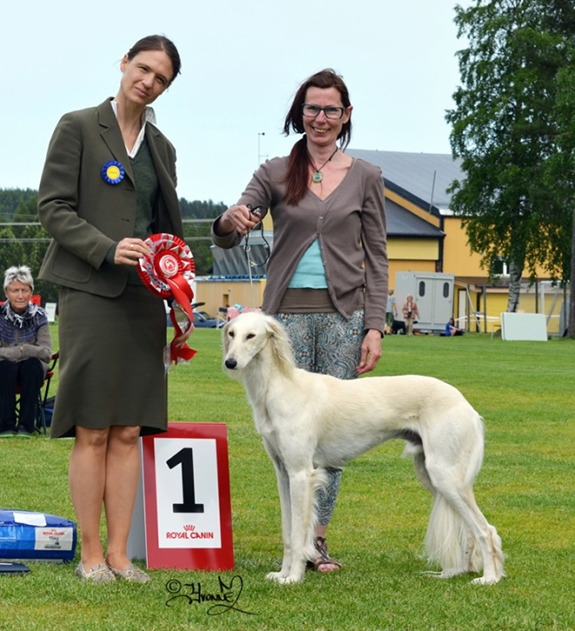 BEST IN SHOW Khalils Aynur