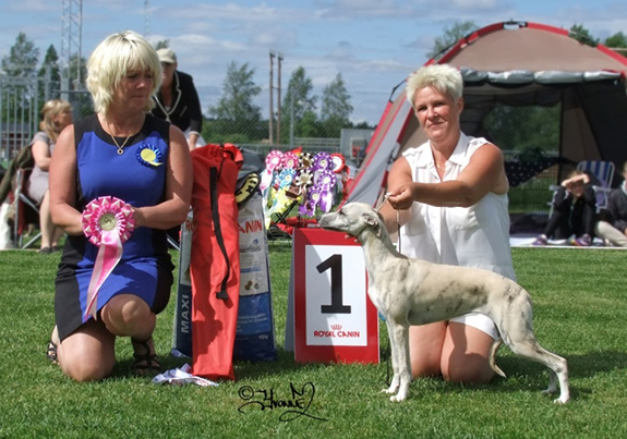 BIS BABYVALP Tappinskis Target For Love