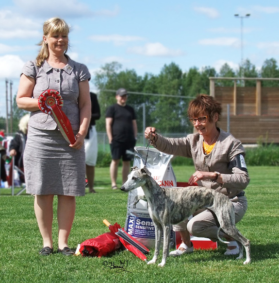 BEST IN SHOW No & SeUCh Hjortronblommas Birgit Prinz