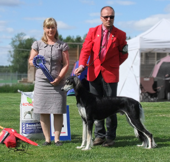 BIS-2 Majo’s Hercules