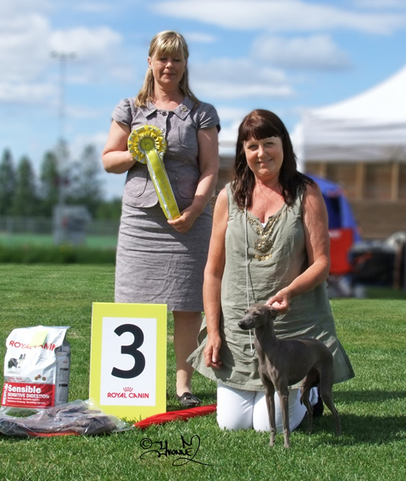 BIS-4 Alickra’s Veni Vidi Vici