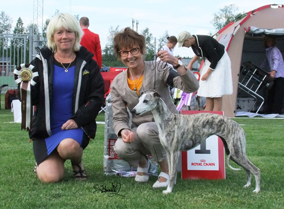 BIS-2 BRUKSHUND SeVCh Dhawati Uday Karam