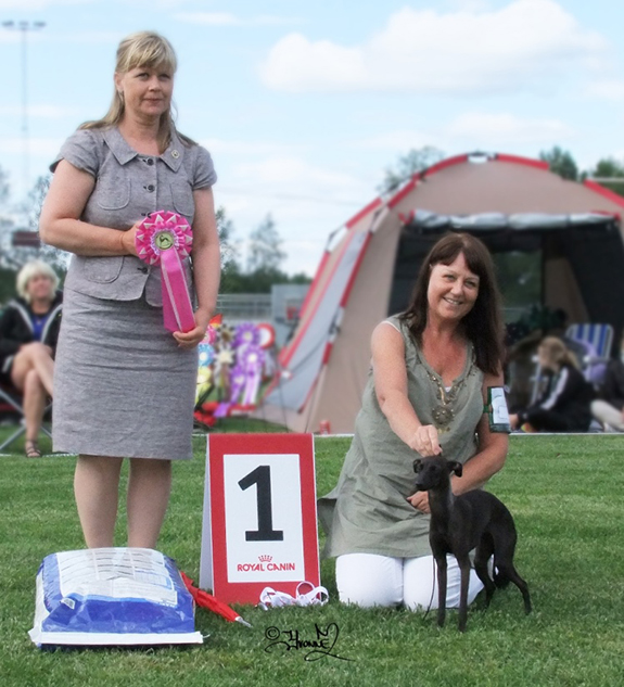 BIS JUNIOR Yebelli's Kharma