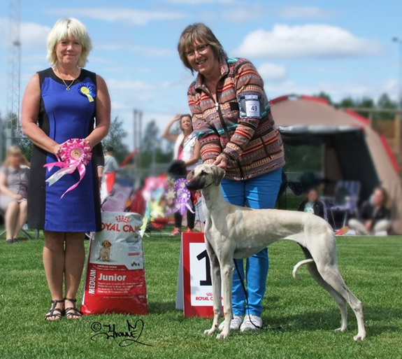 BIS VALP Tillieville Vera Verdandi