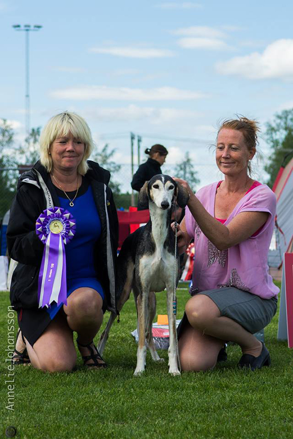 BIS-2 VETERAN No & SeUCh Jagannatha’s Jalla Jalla