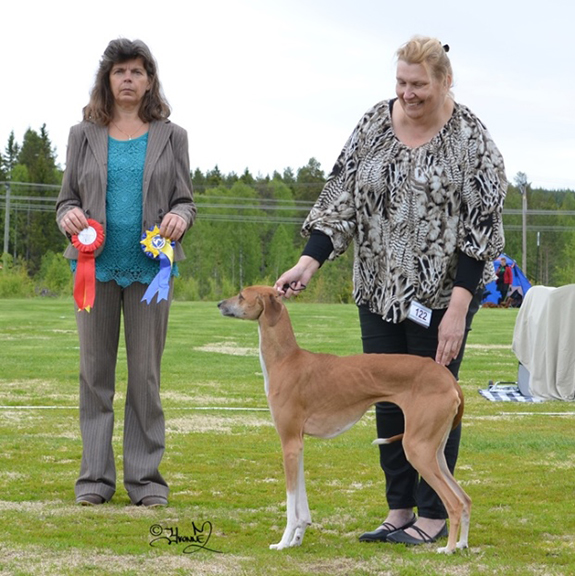 Bt1 Icouten de Garde-Epee cert BIR