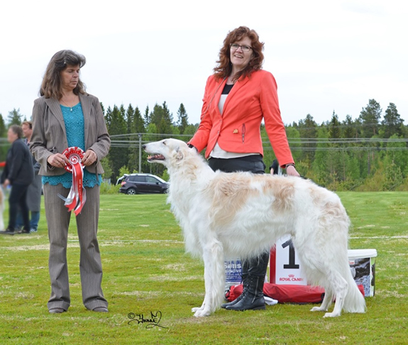 BEST IN SHOW Ch.Krilat Charadei