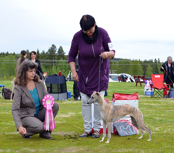 BIS VALP Play A While Roseland