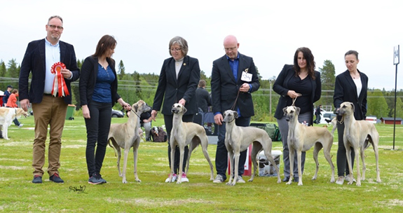 BIS AVELSGRUPP Kennel Tillieville