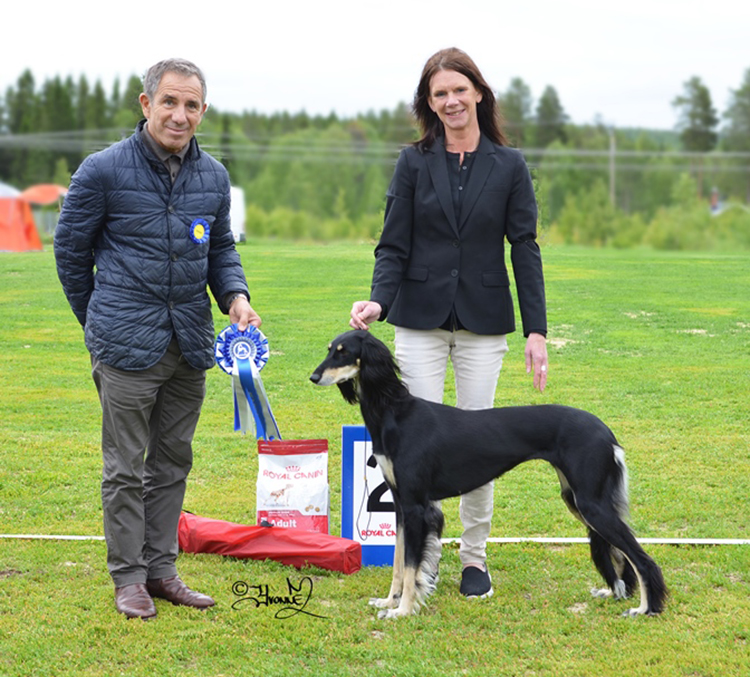 BEST IN SHOW 2 SE u Ch SE V-14 Badavie Voice Of My Heart