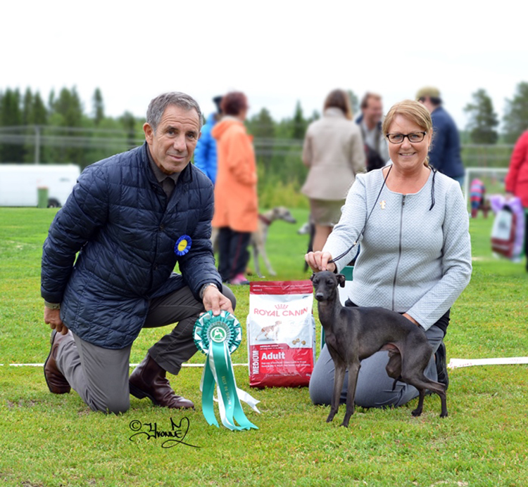 BEST IN SHOW 4 NORD JV-15 Yebelli´s Milton