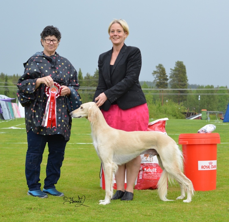 BEST IN SHOW Ch.Pazada Star Alliance