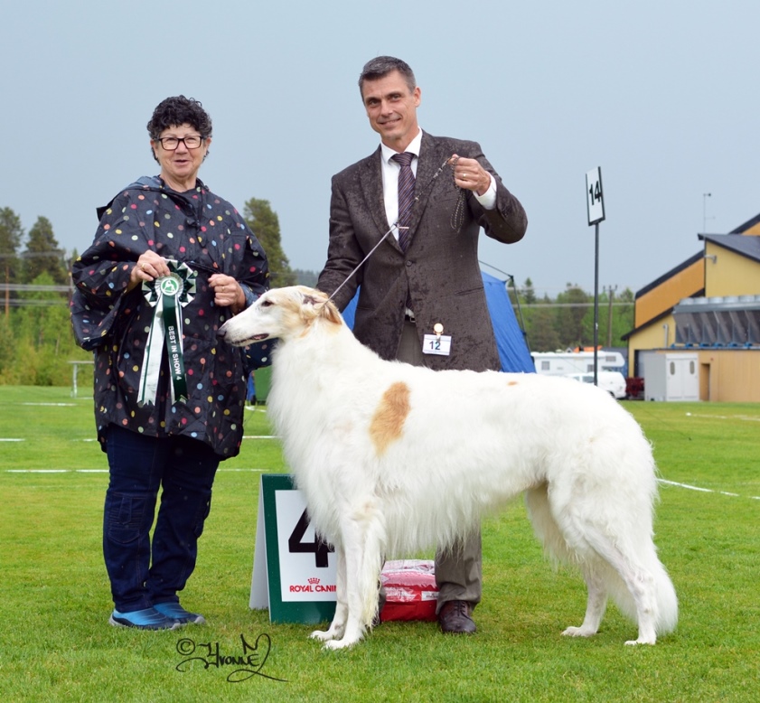 Best In show 4 h.Borscana Eurocub