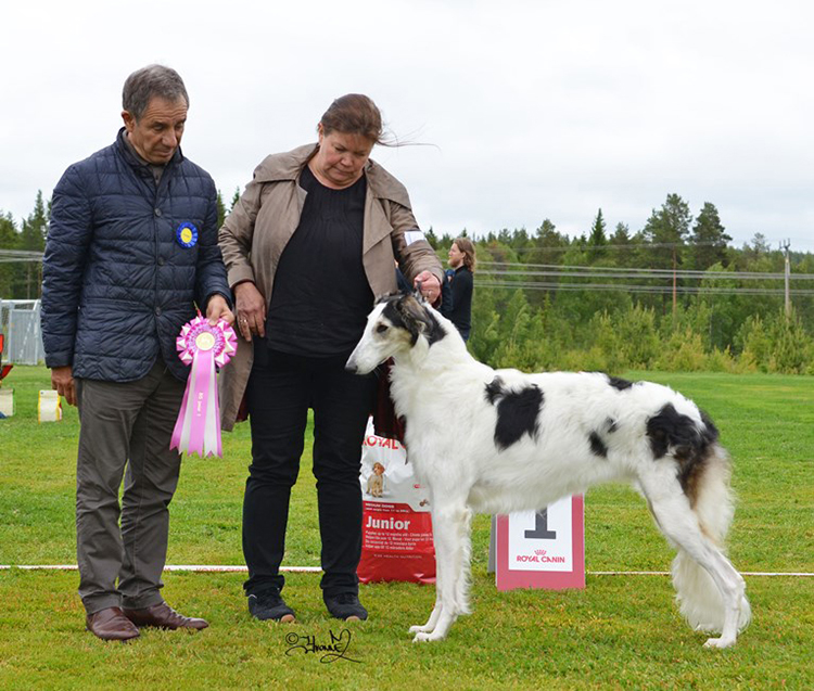 BIS JUNIOR Doscartha Hullisen