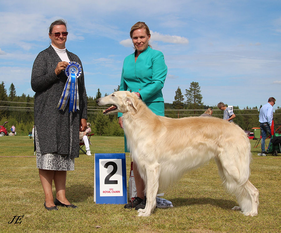 Best in Show 2 C.I.B. FI JV-15 SE, FI, NO, EE &LV UCH Borscana Fortran