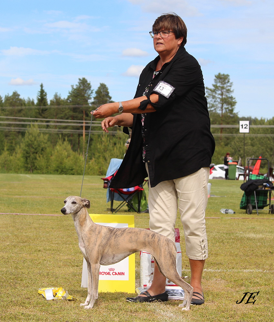 Best in Show 3 FI & SE UCH Play A While Roseland